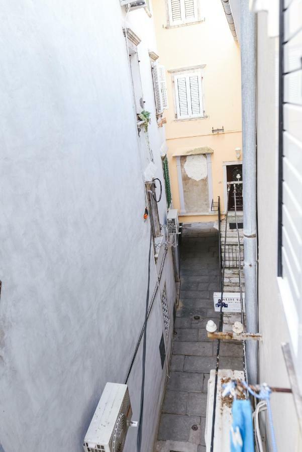 Apartment Martin بيران المظهر الخارجي الصورة